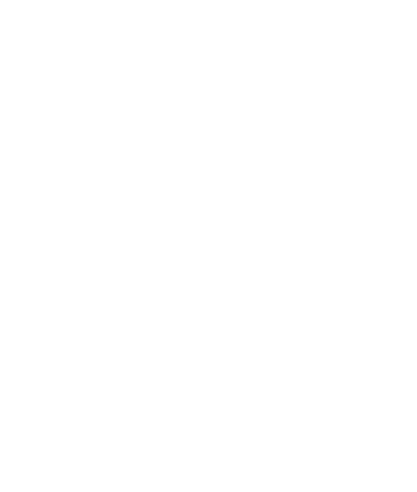 FD Group Logo